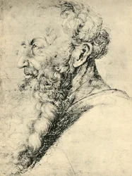 グイド・グエルシの肖像 1513-1515年 1943年