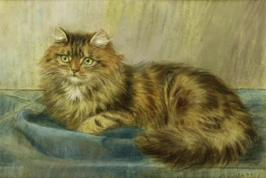 ペルシャ猫パステル