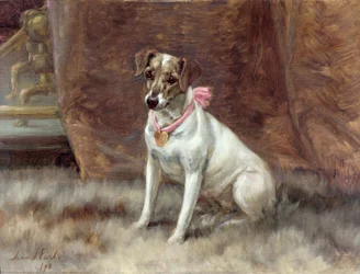 ピンクの弓、1898