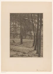 Dennenbosch I (オブジェクトの原題) ボス（原題）