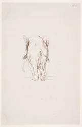 "Weg der Befleckung" - "象と嗅ぎ犬"