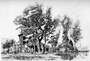 レアカシア、c1850-1895 1924