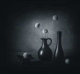 暗い花の静物画