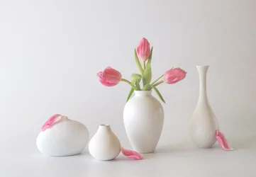 花瓶のピンクのチューリップ