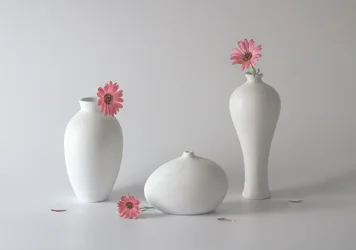 穏やかな花瓶