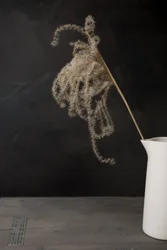 パンパスグラスのある白い水差し