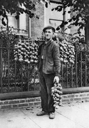 ブレトンオニオンセラー、ロンドン、1926-1927