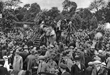 ロンドン動物園での象の乗り物、1926年〜1927年
