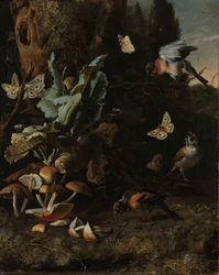 動物と植物
