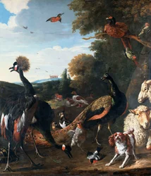風景の中に羊と犬と一緒に、クジャクと他の鳥