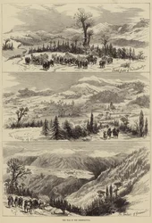 ヘルツェゴビナの戦争