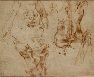 ヌード研究、c1490-1560