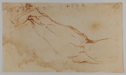 レダ」の右腕のスケッチ、1528-1530年（デッサン）
