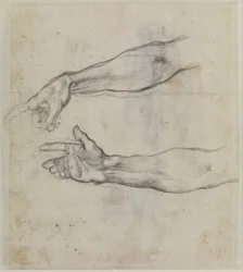 システィーナ礼拝堂のフレスコ画「ノアの酔態」のために伸ばされた腕の習作、1508-09年頃（紙に黒チョーク）