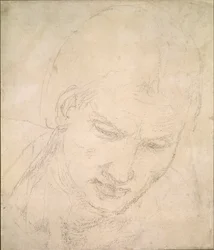 頭の研究、c1490-1560