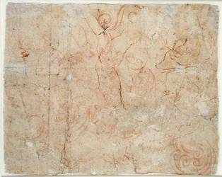 様々な習作、1525年頃（紙に赤チョーク