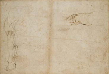 Verso: 男性の足の研究、c1490-1560