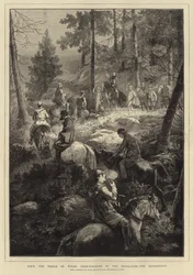 H R H the Prince of Wales Deer-Stalking (e.g. engraving)
