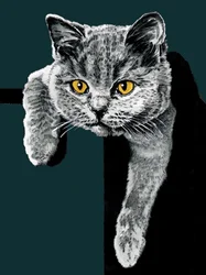 Flora The Kitten on Deep Cyan, 2020