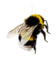 白の蜂、2019