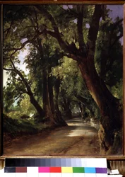 ローマ (イタリア) 近くのアルバーノで表示します。 （ローマ近郊のアルバーノで見る）。 そびえ立つ木々の間の未舗装の道路の説明。 ミハイル・イワノビッチ・レベデフ (1811-1837) の絵画、キャンバスに油彩、19 世紀の風景。 国立トレチャコフ美術館、モスクワ。