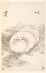 猫と蝶、1788。