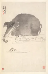 ゾウ、ウマ、ノウサギ