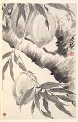桃