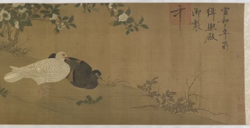 カメリア、ハト、鳴き鳥