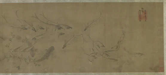 魚と水の雑草