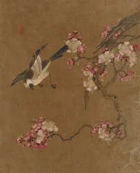 鳥と花の10枚の写真（シルクの色）