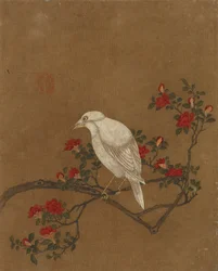 鳥と花の10枚の写真（シルクの色）
