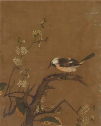 鳥と花の10枚の写真（シルクの色）