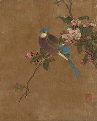 鳥と花の10枚の写真（シルクの色）