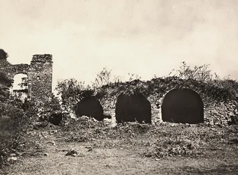 ファシスト時代の帝国建設：エチオピア・ゴンダールのファシラダス王の城にあるライオンの溝、1936年9月5日（モノクロ写真