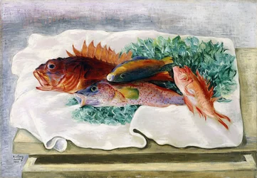 魚