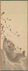 枝にぶら下がる猿