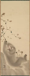 枝にぶら下がっている猿、1780。