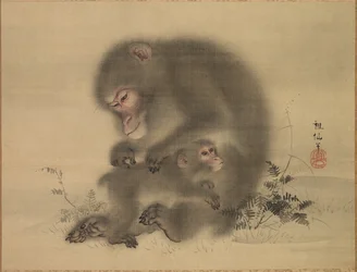 サル