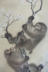 絹本・墨画・彩色 「花咲く桜の中の猿」森宗全 日本・江戸時代 1800年代前半 DSC01127