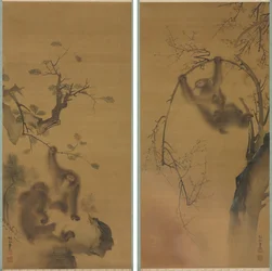桜の木のサル。 岩棚のサル