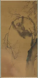 桜の木の猿、ロックレッジの猿、1615年から1868年。
