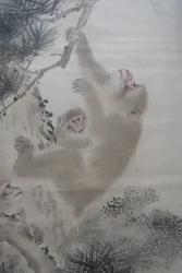 森泉、滝の前の松林の中の猿たち