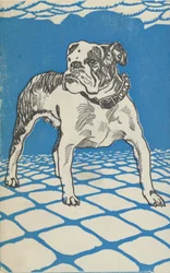 ブルドッグ、1912年。