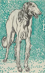 グレイハウンド、1912年。