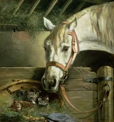 馬と子猫、1890