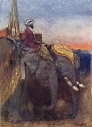 ジャイプール・エレファンツ（カラーリトグラフ