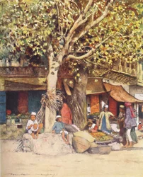 昼間、デリー、1905