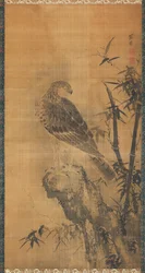 岩の上のタカ