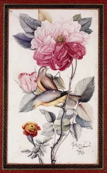Gul-o Bulbul、c。 1849-50（紙に水彩）